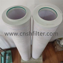 Skipti fyrir Pureach RP8314F0339H skilasíu