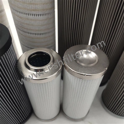 Replace OMT SP064A100NR060 Roller Control System Duplex Filter Element
